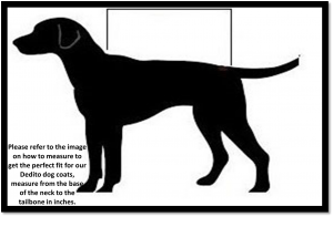 dedito dog coat sizes
