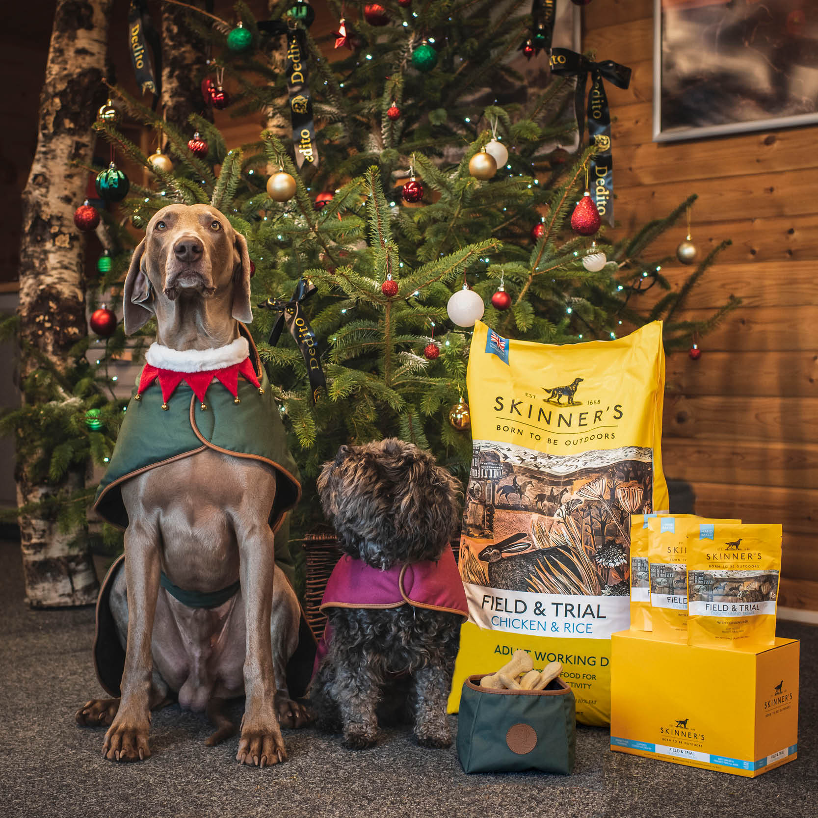 Dog Coat & Skinners Goodies Competition T’s & C’s