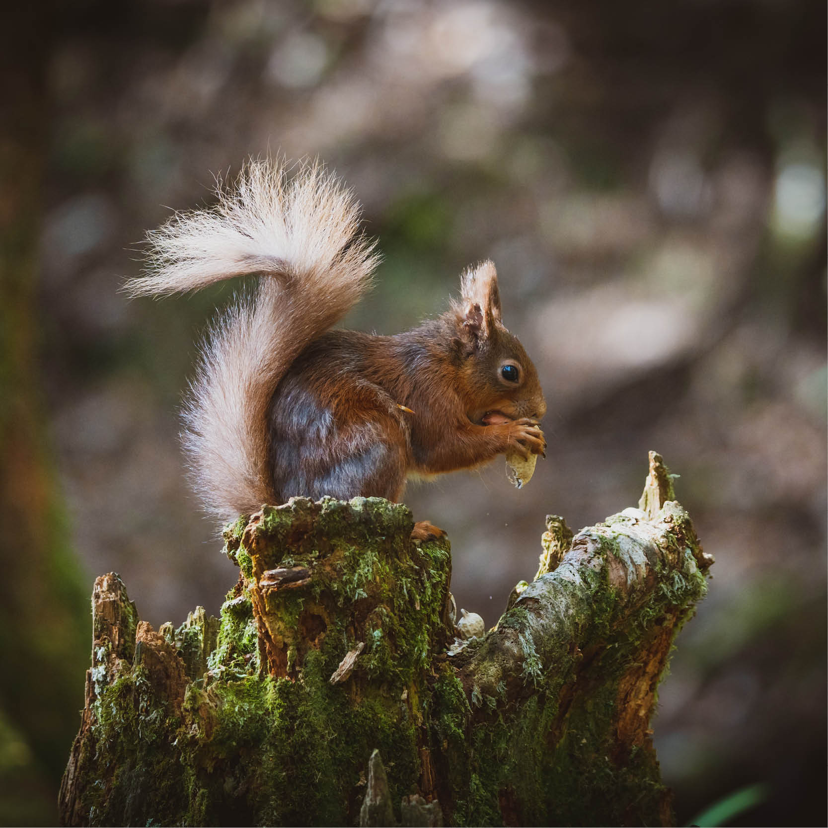 2023 State of Nature Report…..A sobering read