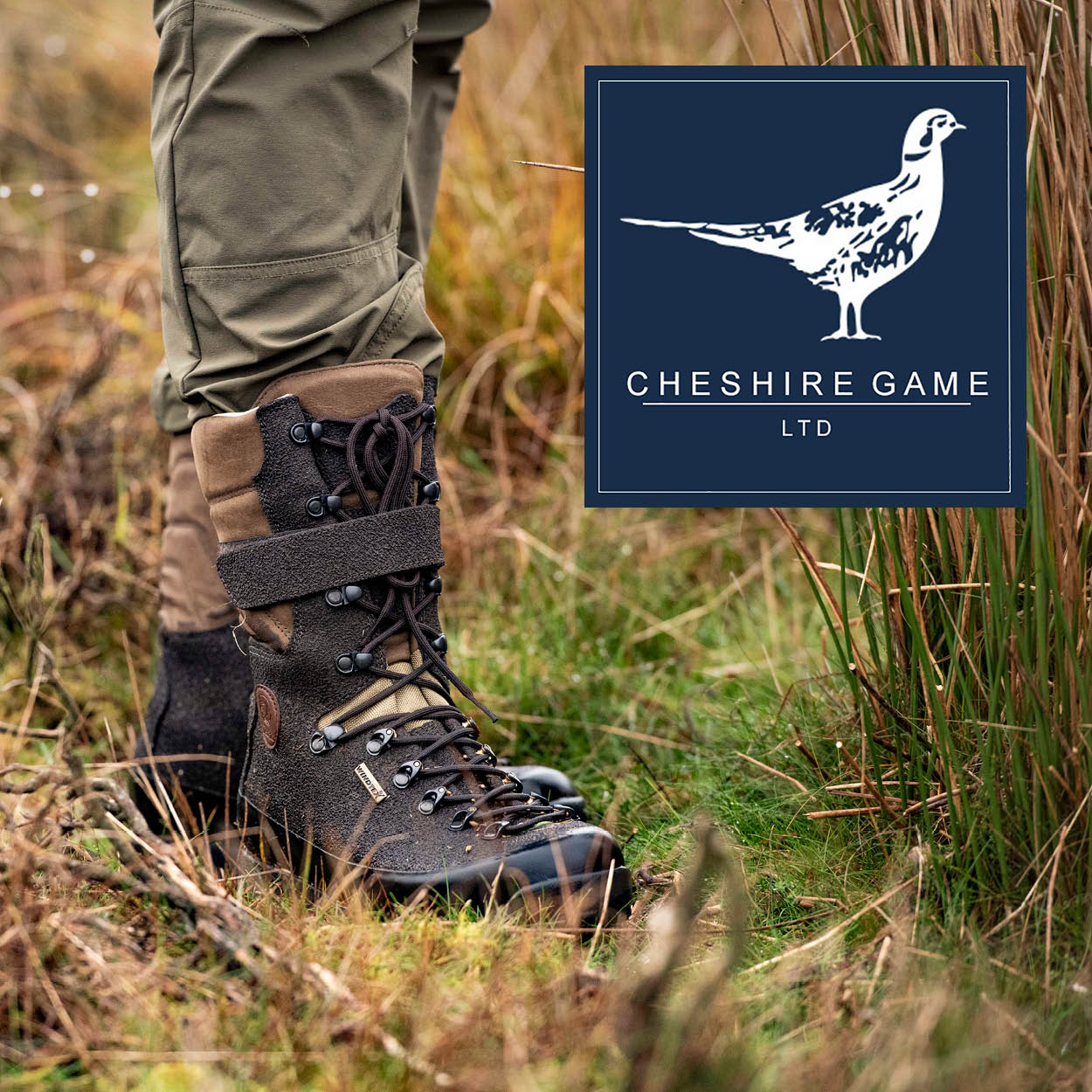 CHESHIRE GAME JOIN THE DEDITO RESELLERS TEAM!