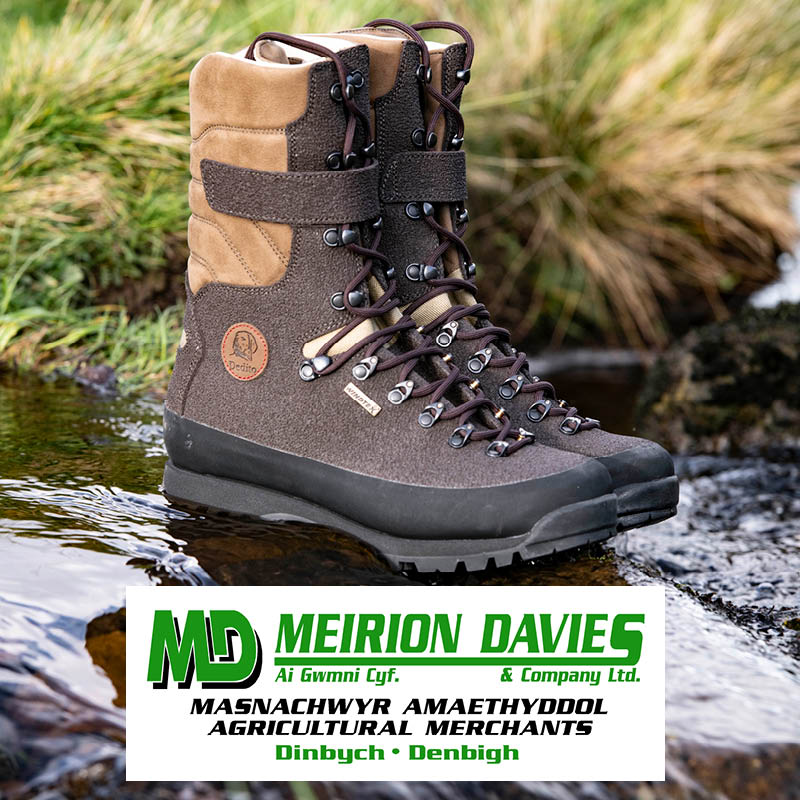 MEIRION DAVIES JOIN THE DEDITO RESELLERS TEAM!