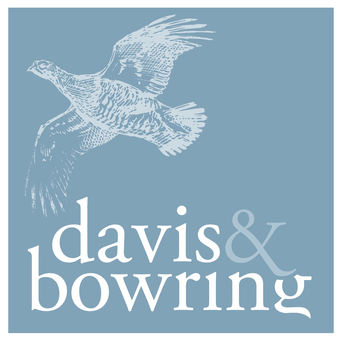 Davis & Bowring Sporting Agency Join Dedito as a trusted partner